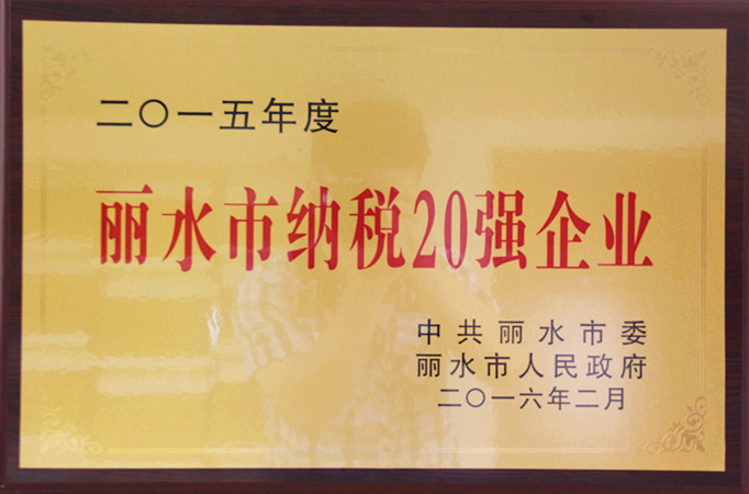 2015麗水市納稅20強(qiáng)